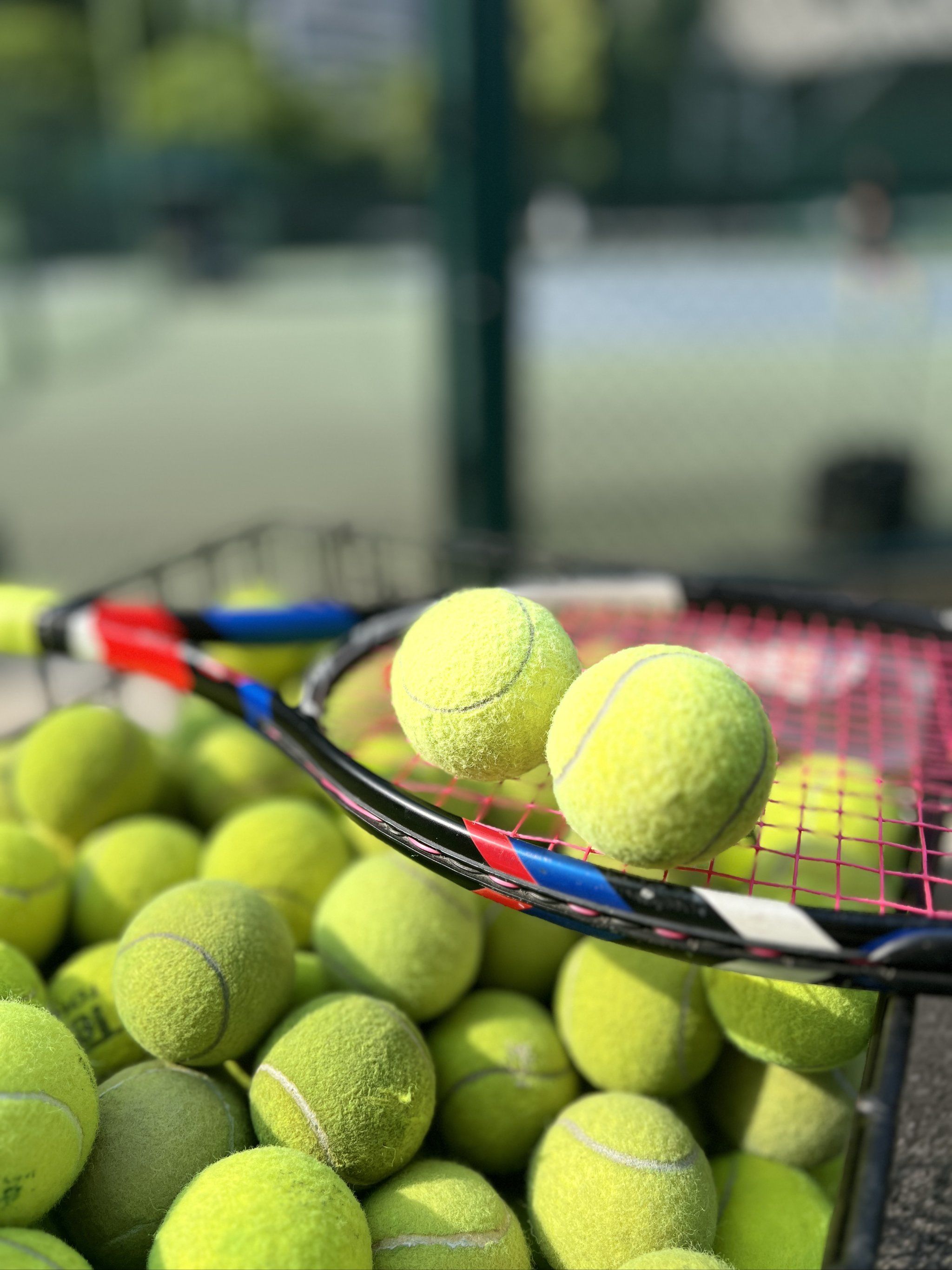 用的语言 用的语言